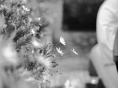 -星光摄影器材城