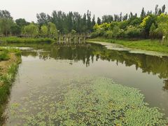 -东郊湿地公园