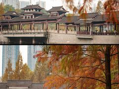 -重庆彩云湖湿地公园