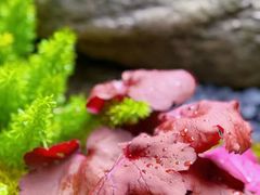 -大妙火锅·非物质文化遗产(东湖公园店)