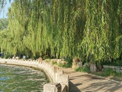 -皇家御河游(紫御湾码头)