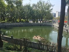 -梵天禅寺
