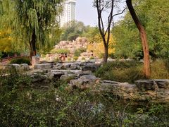 -莲花池公园