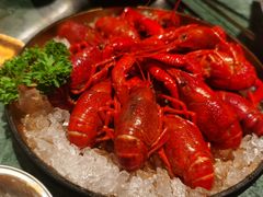 -牛New寿喜烧(金鹰世界店)