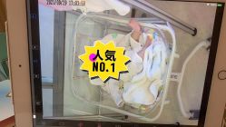 -金鹰国际月子中心(新街口店)