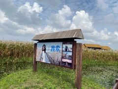 -宁波杭州湾国家湿地公园
