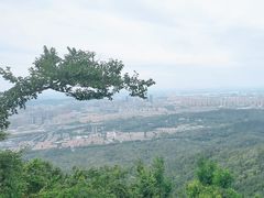 -紫金山山顶公园