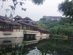 -重庆彩云湖湿地公园