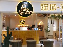 门面-猫域·湾主题猫咖·宠物吧(南坪城市广场店)