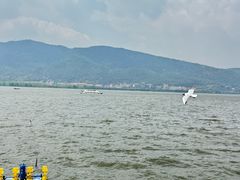 -海埂大坝