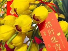 -嘉北郊野公园