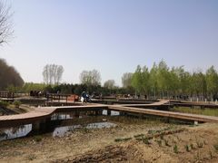 -东郊湿地公园