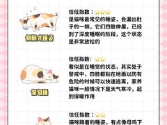 -翊宠yipet猫狗购宠庄园犬舍•猫舍