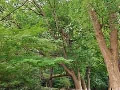-宝岩生态观光园