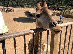 -大连森林动物园