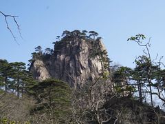 -自游人·美食一楼·地道徽菜(三十年名店)