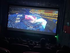 -飞扬影城(正佳IMAX店)