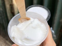 -洪馨椰子