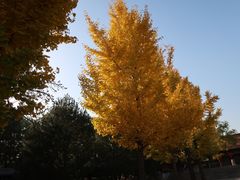 -晋祠公园