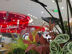 -斗牛士牛排餐厅(嘉里汇店)