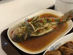 -同济大学本部学苑饮食广场