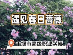 -十堰高级职业学校