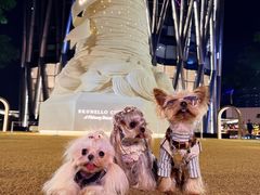 -深圳湾万象城(南山店)