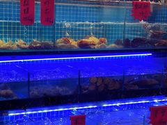 -阿湾楼·温州海鲜·江浙菜(京江路店)