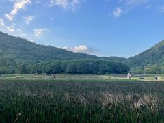 -八卦田遗址公园