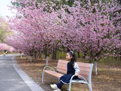 -江苏三台山国家森林公园