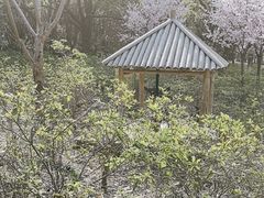 -上海滨江森林公园