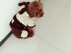 -拾光陶吧