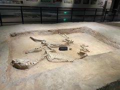 -洛阳周王城天子驾六博物馆