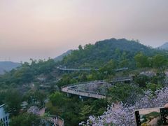 -香山湖公园