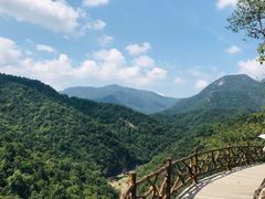 -燕子河大峡谷天坑仙境