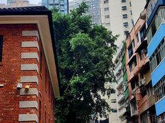 -大馆(前中区警署建築群)