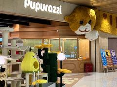 -帕帕拉兹宠物(亚洲旗舰店)