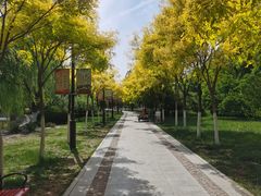 -南翠屏公园