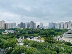 -真爱中国餐馆·年华店(朱雀大街店)