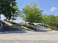 -广州白江湖森林公园