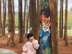 -佛冈森波拉度假区