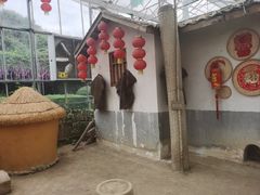 -光明农场大观园