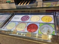 -哈根达斯(红谷滩万达店)