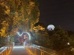 -巴倒烫陆派火锅山庄(南山总店)