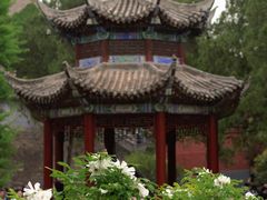 -洛阳白马寺