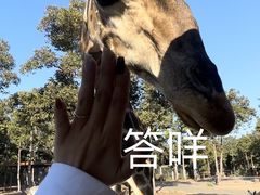 -清迈夜间动物园