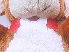 -星巴克(北京新辰里亚运村店)