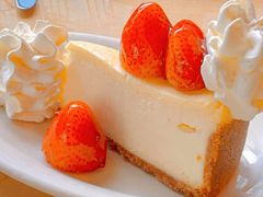 -The Cheesecake Factory芝乐坊餐厅(王府中环东座店)