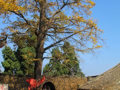-金堂县云顶石城风景区
