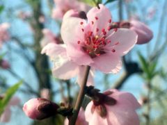 -上海市保健医疗中心(华东疗养院)